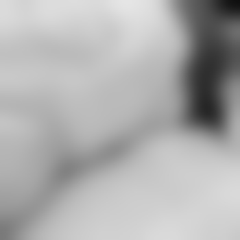 biblis690655