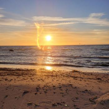 realtreff97