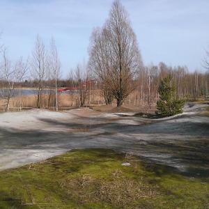 Naturbelassen, FKK Bereich vom Mondsee.