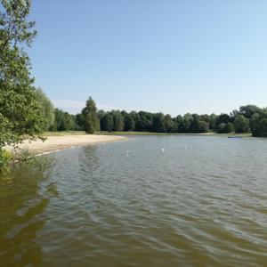 Sander See