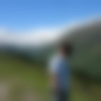 dresdner71