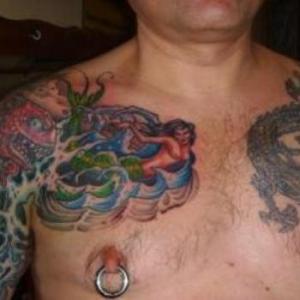 tat2fly