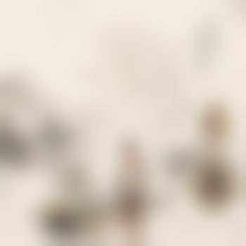Schack_Charmeur
