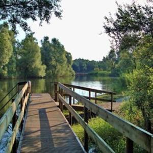 FKK Fussach nähe Bregenz