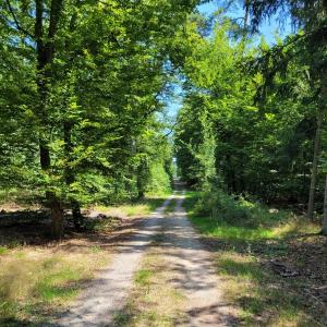Sextreffen Umgebung Lampertheim