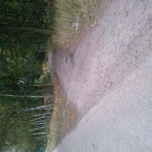 Feldmark um Artlenburg