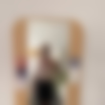 redsector1969