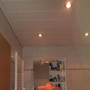 passiveZweilochstute