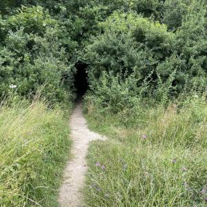 A36 Rastplatz Ziegenberg - Schladen Richtung BS