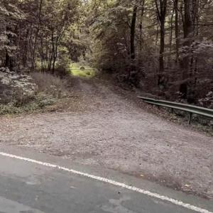 Ab in den Wald !!!