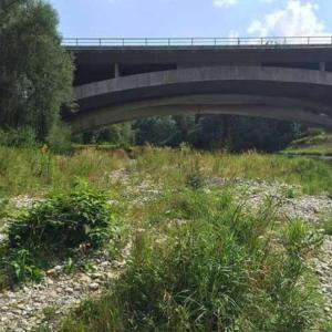 Untere Alz bei Martkl