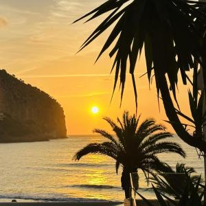 Mallorca Sex Treffen