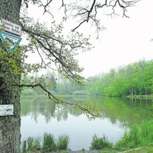 Hölzersee bei Magsdadt