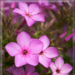 Mollig/Dick? NA UND?!