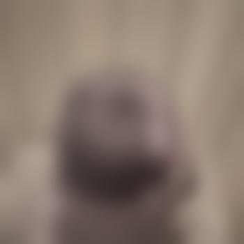 BiCuckoldSlave