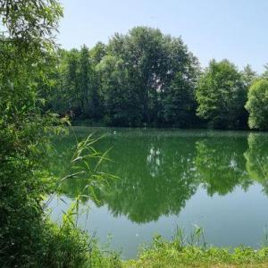 Grafenrheinfelder See