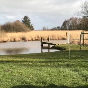 Badestelle Bergenhusen