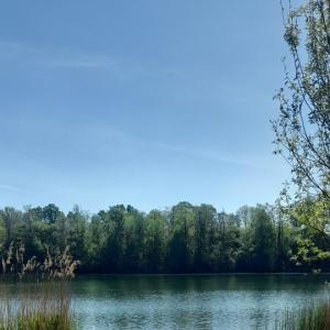Naturbad Südwest