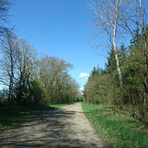 Grenzstraße
