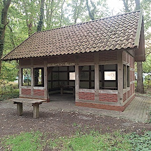 Hütte im Wald 