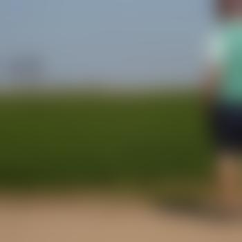 MichelnichtausLönneb