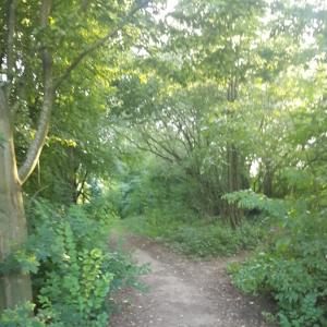 Unter der Lahn Brücke Limburg