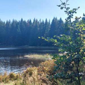 Oberer Hahnebalzer Teich