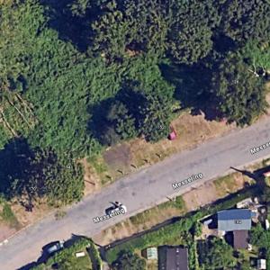 Nähe Elbe bei Ostra Gehege