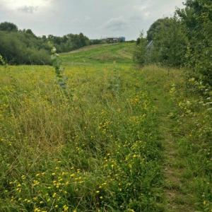 Lise-Meitner-Park
