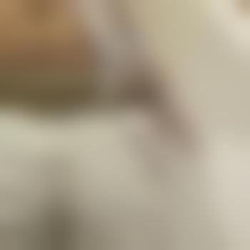 Fructusmaximus