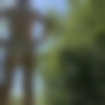 Ersucht99