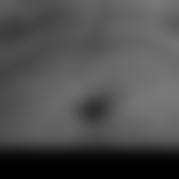 Saltwater_07