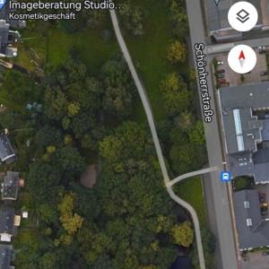 Gebüsch im Schönherrpark