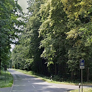 Uedemer Hochwald Waldparkplatz