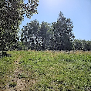 Altwarmbüchener See