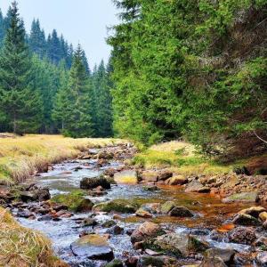 Lustvolles Erzgebirge für Frauen, Paare und M