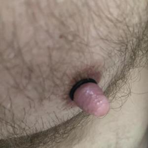 Grizzly_von_nebenan