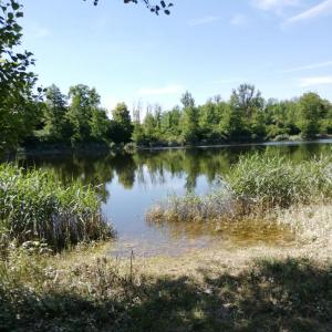 An der Hopfenwerle FKK