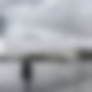 Ilia-4077