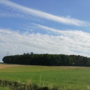 Am Wäldchen