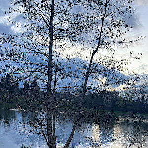 Wolfsteich Mönchweiler