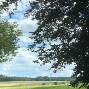 Treffpunkt am Wald bei Eglofswinden