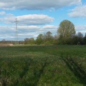 Badewiese Ruppiner See am Masten