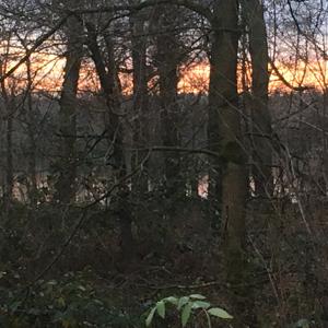 Mülheim - Entenfang