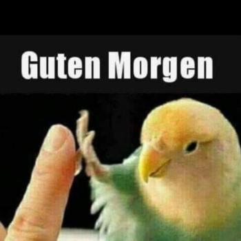 wicht10