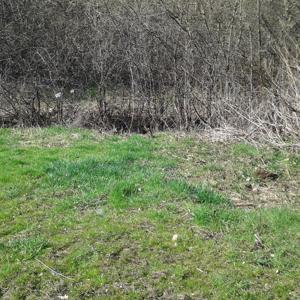 Schulenburger Südsee (im Dreieck A2/A352)