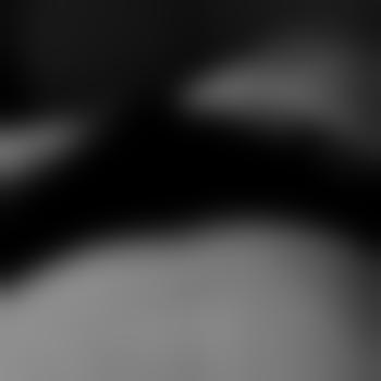 Tom-7348