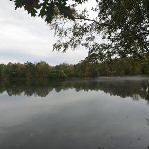 PORNOBEACH MÖHNESEE