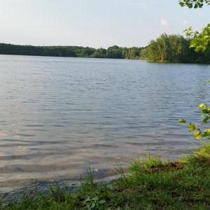 Kiessee Maust