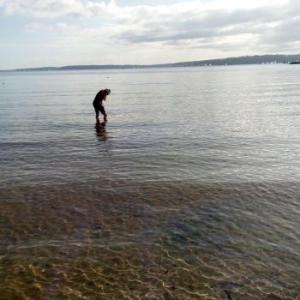 Doerti_Haerri